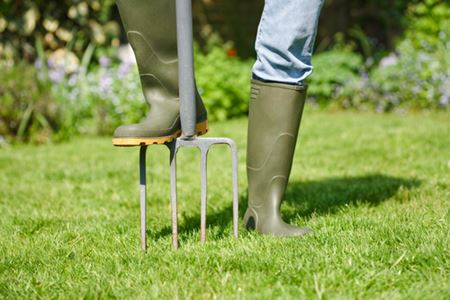 Aeration Explained: Why It's Essential for a Thriving Lawn Thumbnail