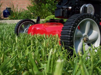 Lawn Mowing Thumbnail