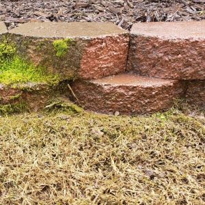 Pressure Washing Square 4 - MSGeneralServices.com