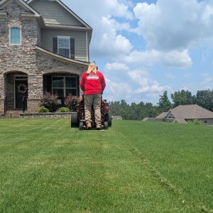 Precision mowing and edging in Flowery Branch backyard