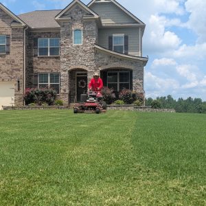 Well maintained front yard after lawn mowing in Flowery Branch