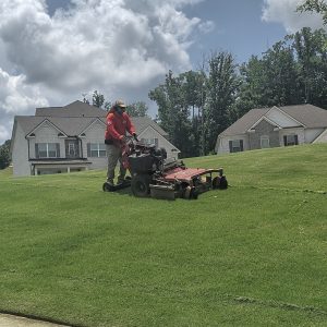 Clean mowing lines on a lush lawn in Suwanee