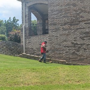 Vibrant green lawn after professional mowing in Hall County