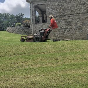 Professional lawn mowing in Flowery Branch with clean striped pattern